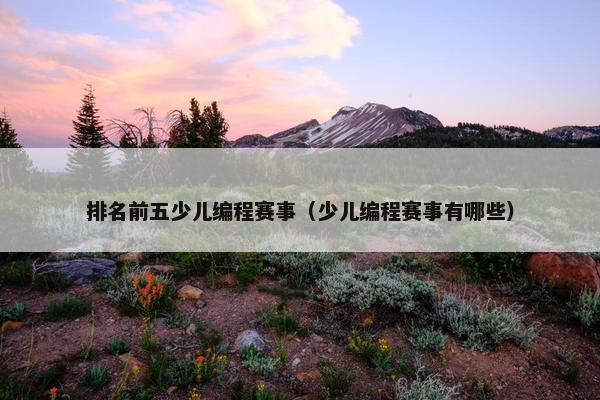 排名前五少儿编程赛事（少儿编程赛事有哪些）
