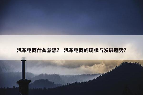 汽车电商什么意思？ 汽车电商的现状与发展趋势？