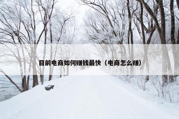 目前电商如何赚钱最快（电商怎么赚）