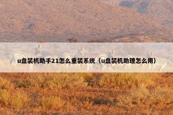 u盘装机助手21怎么重装系统（u盘装机助理怎么用）