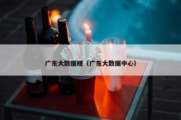 广东大数据规（广东大数据中心）