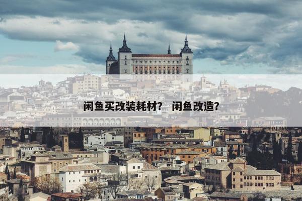 闲鱼买改装耗材？ 闲鱼改造？