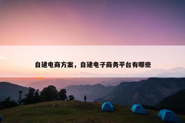 自建电商方案，自建电子商务平台有哪些