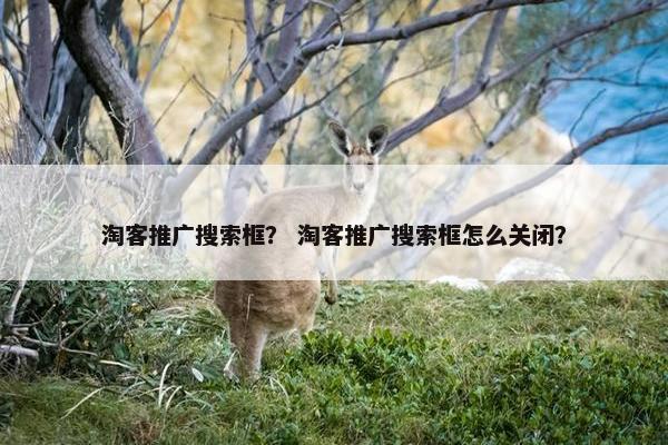 淘客推广搜索框？ 淘客推广搜索框怎么关闭？