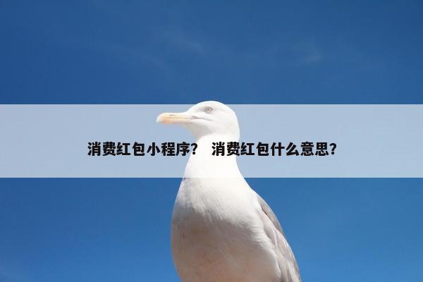 消费红包小程序？ 消费红包什么意思？