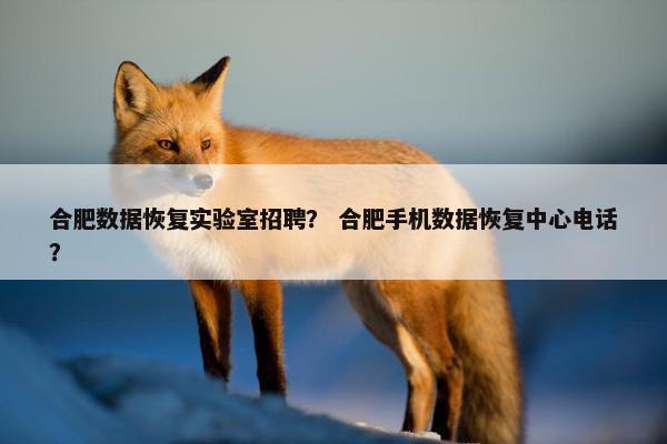 合肥数据恢复实验室招聘？ 合肥手机数据恢复中心电话？