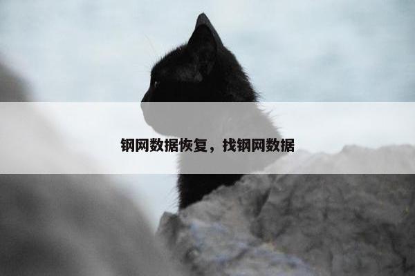 钢网数据恢复，找钢网数据