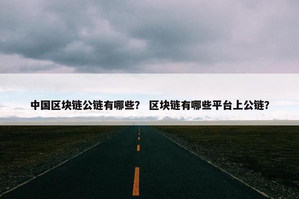 中国区块链公链有哪些？ 区块链有哪些平台上公链？