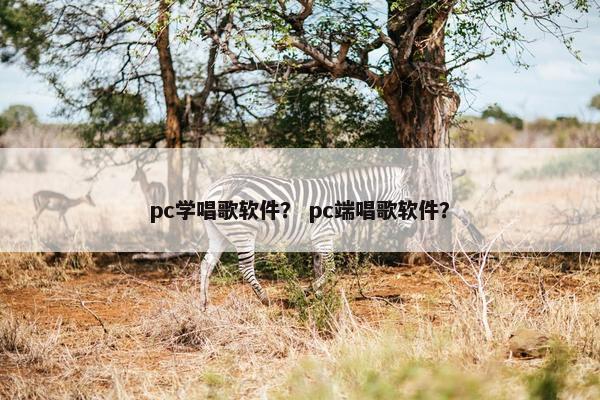 pc学唱歌软件？ pc端唱歌软件？