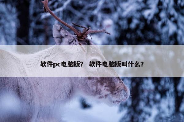 软件pc电脑版？ 软件电脑版叫什么？