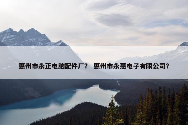惠州市永正电脑配件厂？ 惠州市永惠电子有限公司？