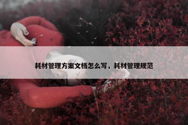 耗材管理方案文档怎么写，耗材管理规范