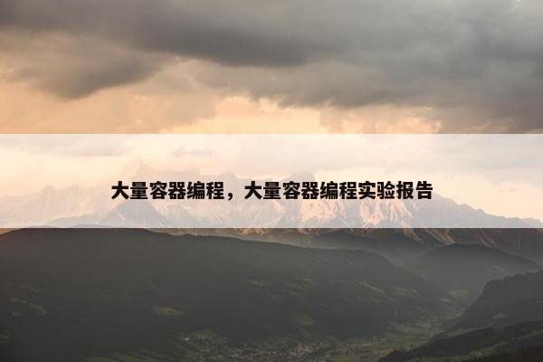 大量容器编程，大量容器编程实验报告