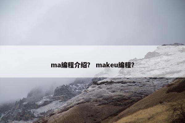 ma编程介绍？ makeu编程？