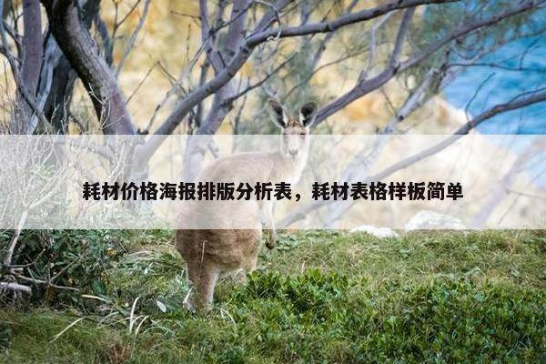 耗材价格海报排版分析表，耗材表格样板简单