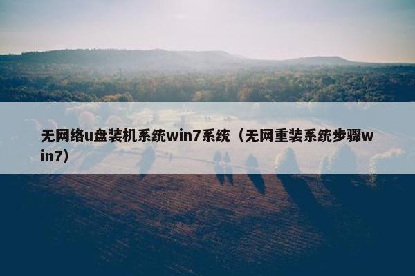 无网络u盘装机系统win7系统（无网重装系统步骤win7）