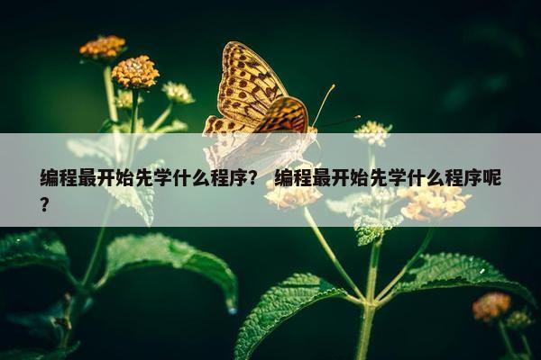 编程最开始先学什么程序？ 编程最开始先学什么程序呢？