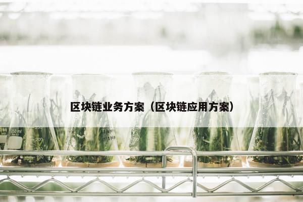 区块链业务方案（区块链应用方案）
