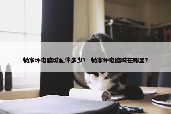 杨家坪电脑城配件多少？ 杨家坪电脑城在哪里？