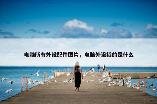 电脑所有外设配件图片，电脑外设指的是什么