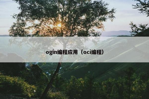 ogin编程应用（oci编程）