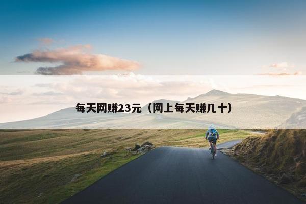 每天网赚23元（网上每天赚几十）