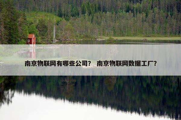 南京物联网有哪些公司？ 南京物联网数据工厂？