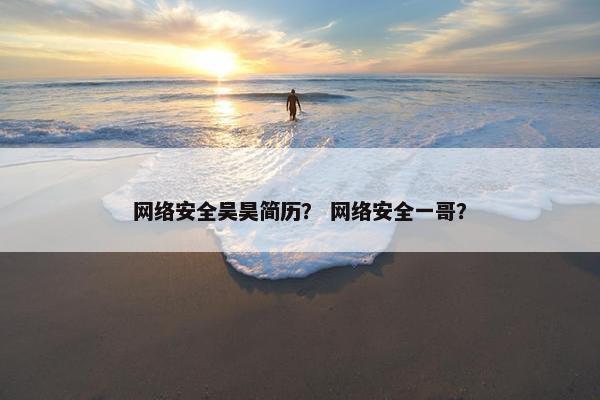 网络安全吴昊简历？ 网络安全一哥？