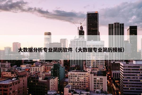 大数据分析专业简历软件（大数据专业简历模板）