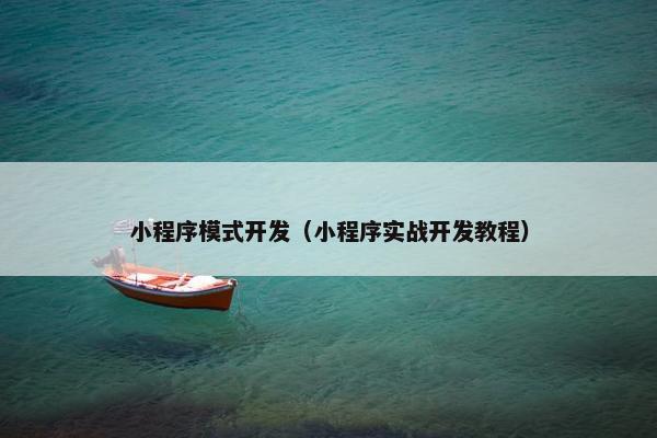 小程序模式开发（小程序实战开发教程）