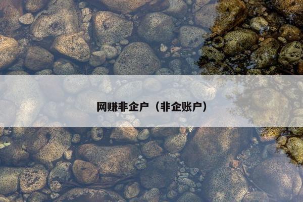 网赚非企户（非企账户）