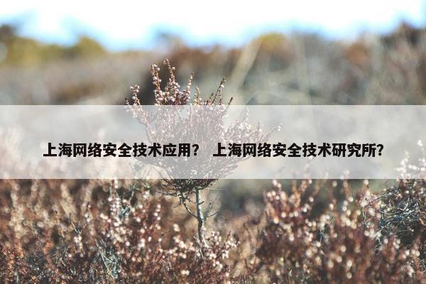 上海网络安全技术应用？ 上海网络安全技术研究所？