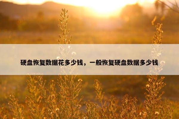 硬盘恢复数据花多少钱，一般恢复硬盘数据多少钱