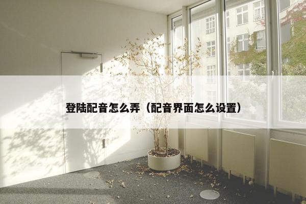 登陆配音怎么弄（配音界面怎么设置）