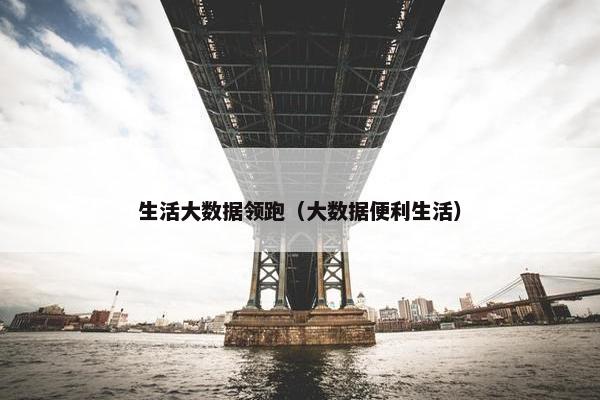 生活大数据领跑（大数据便利生活）