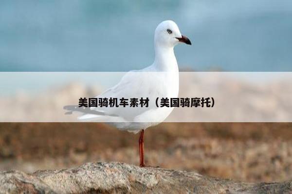 美国骑机车素材（美国骑摩托）