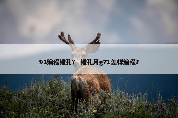 91编程镗孔？ 镗孔用g71怎样编程？