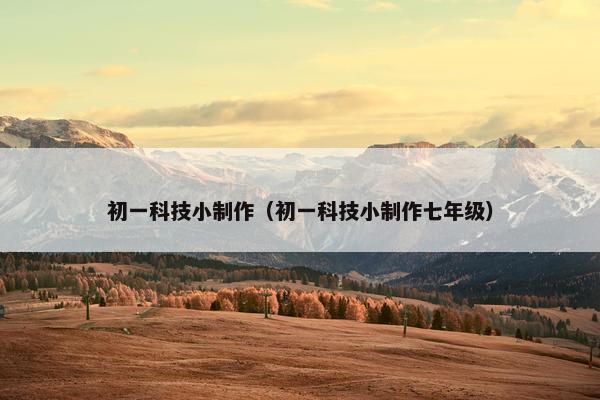 初一科技小制作（初一科技小制作七年级）