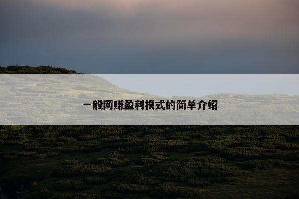一般网赚盈利模式的简单介绍