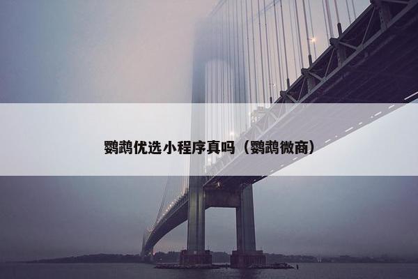 鹦鹉优选小程序真吗（鹦鹉微商）