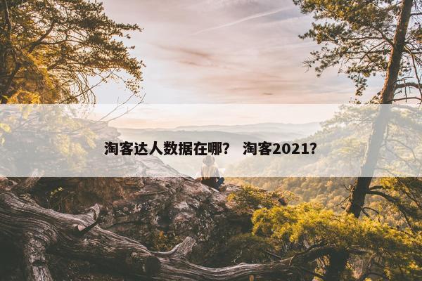 淘客达人数据在哪？ 淘客2021？