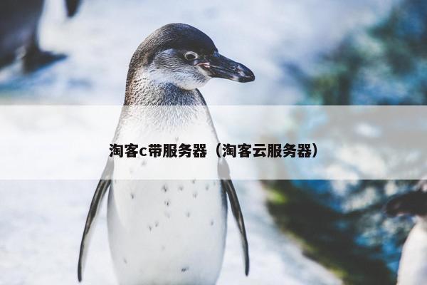 淘客c带服务器（淘客云服务器）