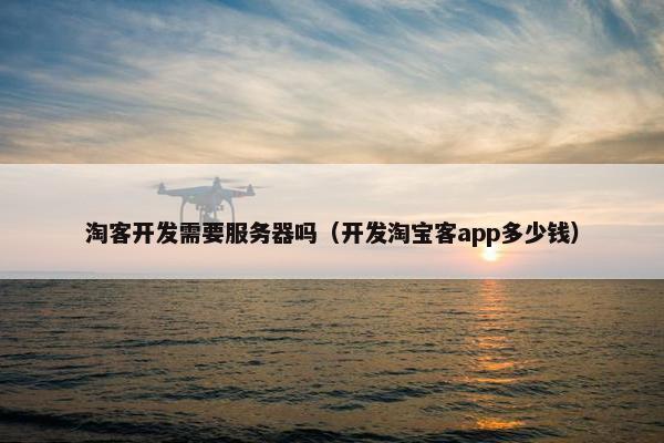 淘客开发需要服务器吗（开发淘宝客app多少钱）