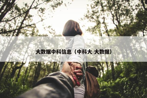 大数据中科信息（中科大 大数据）