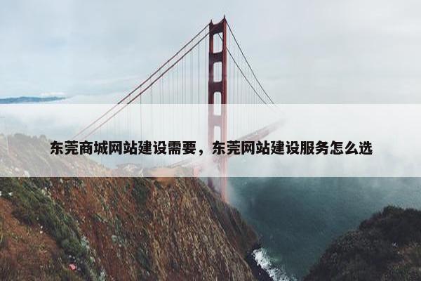 东莞商城网站建设需要，东莞网站建设服务怎么选