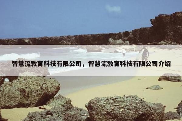 智慧流教育科技有限公司，智慧流教育科技有限公司介绍