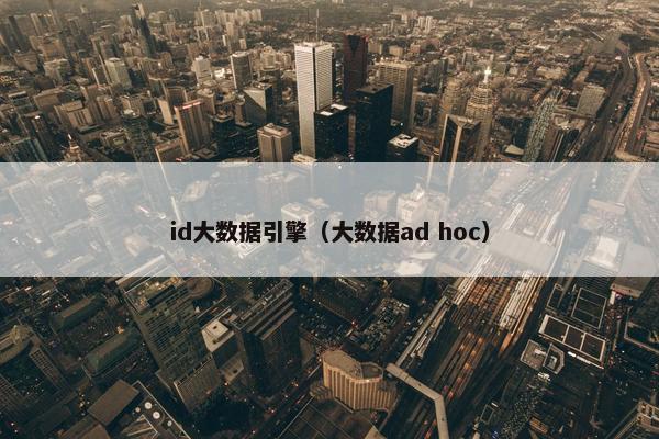 id大数据引擎（大数据ad hoc）