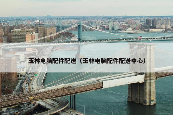 玉林电脑配件配送（玉林电脑配件配送中心）