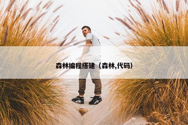 森林编程搭建（森林,代码）