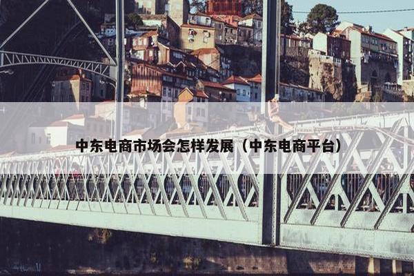 中东电商市场会怎样发展（中东电商平台）